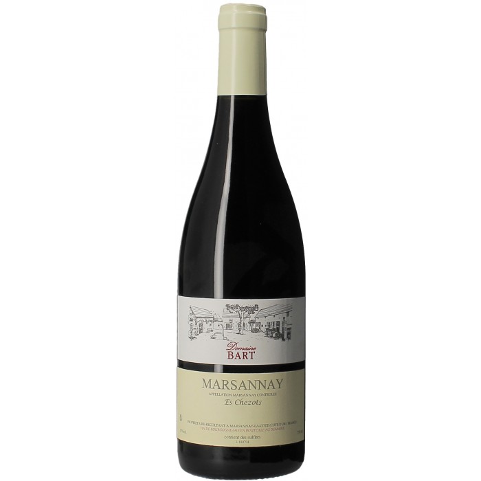 Domaine Bart, Es Chezots, 2021, France, 0.75 Rouge