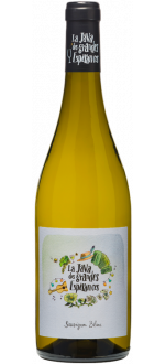 Domaine Des Grandes Espérances, La Java Sauvignon blanc Touraine AOC, 2023, Vin de France, France, 0.75 Blanc